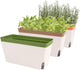 OurWarm Windowsill Herb Planter Box Indoor Set of 3, 10.5 Inch Self Watering Planter Pots with Visual Water Level Window, Modern Plastic Plant Pots for Herbs, Vegetables, Succulents Plants