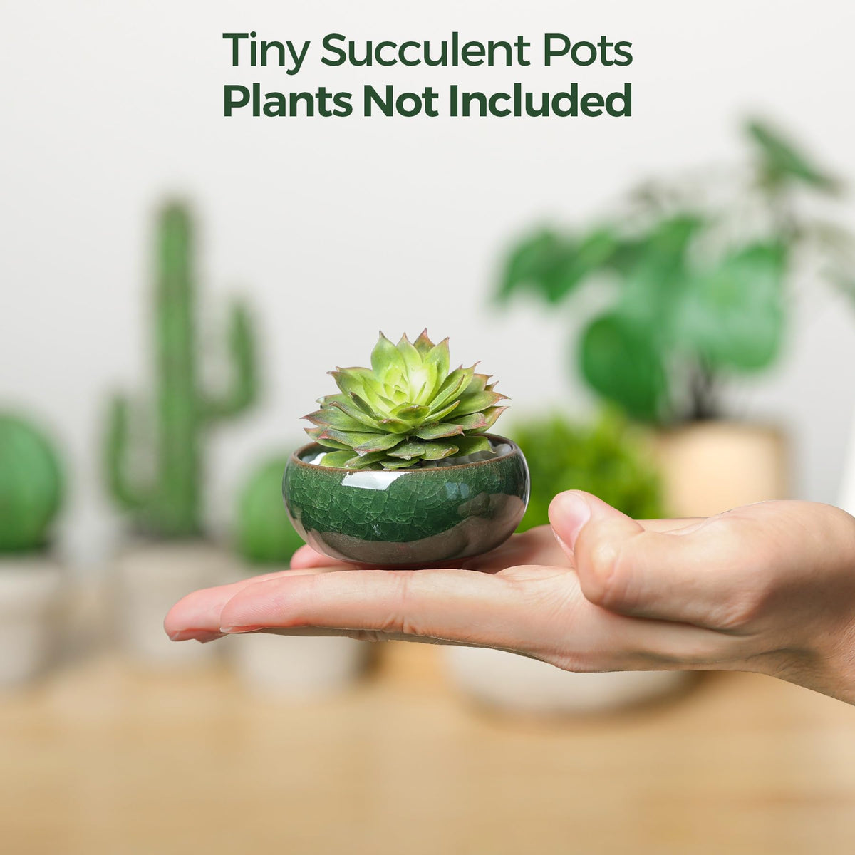 T4U Mini Succulent Pots, Small Shallow Ceramic Pots, Retro Gift Set of 6