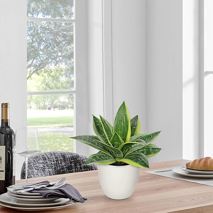 Hollyone Artificial Snake Plants 9" Faux Agave Succulent Plant Potted in White Pot Fake Sansevieria Aloe Tropical Plant for Desk Modern Office Home Bathroom Indoor Outdoor Decor
