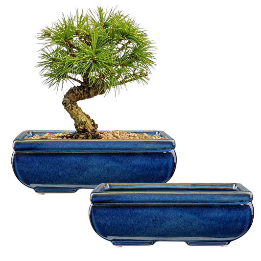 Villa Como Set of 2 Large Bonsai Pots with with Drainage Hole, 8.7"