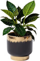 LB Black Gold Ceramic Planters for Indoor Plants, Succulent Plant Pots Ceramic Plant Pot, Modern Flower Pots for Living Room Office Home Decor, Round Flower Pot of 4.3 Inch(Plant Not Included)