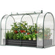 SUNYRISY Outdoor Galvanized Raised Garden Bed with Greenhouse