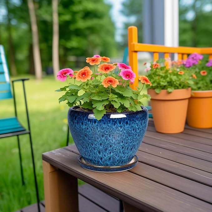 Ceramic Modern Glaze Succulent Planter Pot with Drainage Hole and Saucer 6 Inch Round Flower Plant Pot for Indoor Outdoor Herb Snake Plants