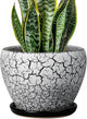 Ceramic Plant Pot 8 Inch - Ceramic Planter for Indoor Plants, Round Flower Pot with Drainage Hole and Saucer, Glaze White and Black