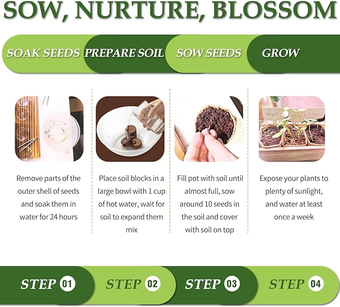 5 DIY Bonsai Tree Kit for Beginners, Complete Indoor Gardening Starter Kit with Seeds, Soils, Pots & Tools, Unique Birthday Gifts Ideas for Women, Men