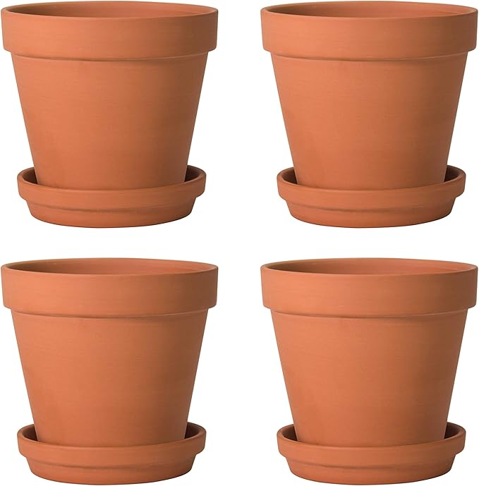 D'vine Dev Terracotta Pots Set, 6-Inch Terra Cotta Pots with Saucers & Tray, Ideal for Plants & Succulents