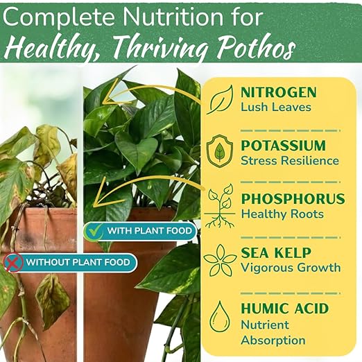 Pothos Fertilizer – Liquid Plant Food for Strong Roots, Healthy Growth & Lush Foliage – 3-3-3 NPK Formula with Sea Kelp, Humic & Fulvic Acid – Essential Nutrients for Neon Pothos or Devil’s Ivy – 8 oz