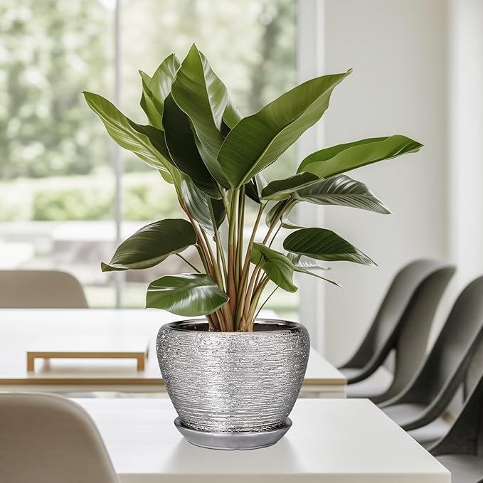 Ceramic Planter - 6 Inch Plant Pot Indoor with Drainage Hole and Saucer Outdoor Pot for Plants Round Decorative Planter Modern Mid-Century Flower Pot for Office Decor Silver