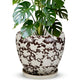 Ceramic Plant Pots With Saucer & Drainage Hole, 10 inch Indoor Flower Pots