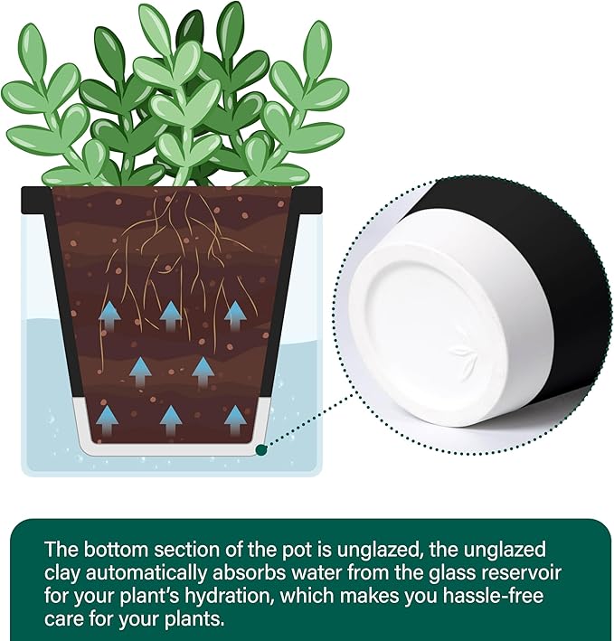D'vine Dev 4 Inch Design Self Watering Planter for Indoor Plants, Black Terracotta Pot with Cylinder Glass Cup, Set of 3, 37-Z-A-3-T