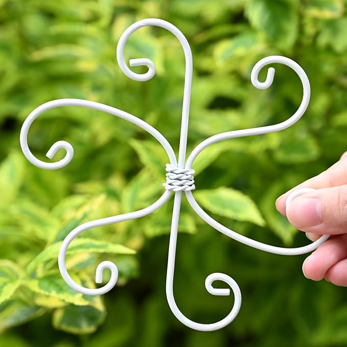 5PCS Monstera Plant Support Hook - 5.5x5.5 inch Premium Indoor Stem Stabilizer for Monstera & Fishbone Cactus, Durable,Easy Installation, Gentle Protection for Healthy Plant Growth