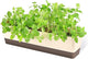 GREANER Window Boxes, 1 Pack 16 x3.8 Inch Indoor Rectangle Planter, Herb Succulent Cactus Window Box with Saucer, Modern Plastic Plant Pot for Windowsill, Garden Balcony, Home Office Outdoor Decor