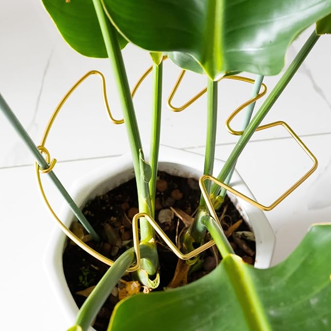 5PCS Durable Monstera Plant Stem Support Stake with Adjustable Leaf Holders - Plant Support Kit for Indoor Botanicals, Cactus Stabilizers, and Turtle Shell Climbers - Ideal for Plant Enthusiasts