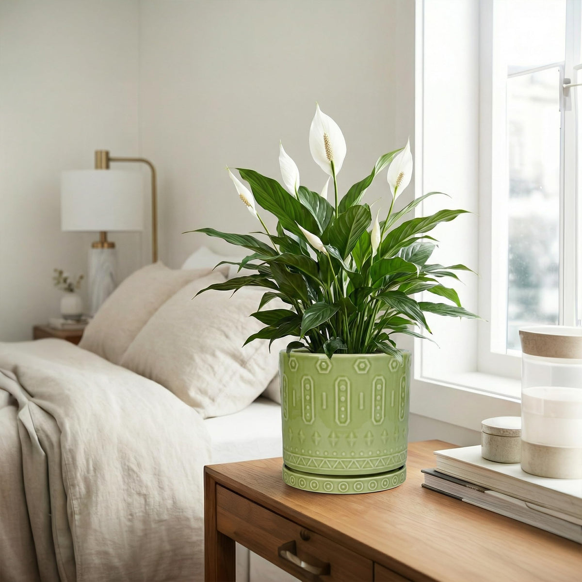 Eightpot Ceramic Pots for Plants, 8 Inch Plant Pot with Drainage Hole and Tray, Round Planters for Indoor Plants, Modern Flower Pot, Decorative Planter, Living Room Decor, Gardening Gifts, Green