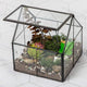 Ferrisland Glass Plant Terrarium Container Wardian Case Indoor Small Succulent Terrarium Planter w/Door for Tabletop Decor DIY - 4.9"x4.3"x4.3"