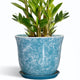 SUNPOTFOR Ceramic Planter - 10 Inch Plant Pot for Indoor Outdoor, Large Round Flower Pots with Drainage Hole and Saucer, Modern Decorative Plant Pots, Garden House Decor, House Warming Gifts, Blue