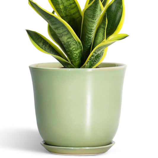 SUNPOTFOR Ceramic Flower Pots - 8 Inch Plant Pot Drainage Hole and Saucer, Round Plant Pot with for Indoor Outdoor, Modern Planter, Decorative Planter, Home Porch Room Decor, Housewarming Gift, Green