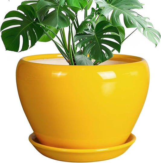 Ceramic Planter - 10 Inch Plant Pot for Indoor Outdoor Plants Glaze Modern Round Planter with Drainage Hole and Saucer for Garden Office Home Room Patio Decor, Yellow