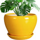 Ceramic Planter - 10 Inch Plant Pot for Indoor Outdoor Plants Glaze Modern Round Planter with Drainage Hole and Saucer for Garden Office Home Room Patio Decor, Yellow