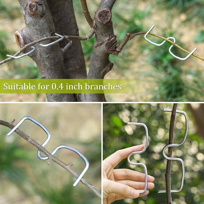 50 Pcs Fruit Tree Limb Spreaders Plant Tying Machine Puller Branchs Preaders Plum Tree Open Angle Pull Branch Stereotyped Tying Bending Farm Tools, M-3.94(Inch), Galvanized