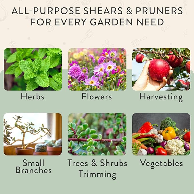 Modern Sprout Hand Pruners & Shears Set with Blister Pack - Lightweight Gardening Tools with Easy Lock - Sharp Carbon Steel Blades -Rust Resistant Scissors for Herbs, Flowers - Sage