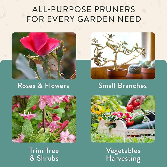 Modern Sprout Hand Pruners - Lightweight Pruning Shears W/Easy Lock- Gardening Scissors - Bypass Sharp Carbon Steel Blade - Rust Resistant - Garden Tools - Reusable Holster - Ocean