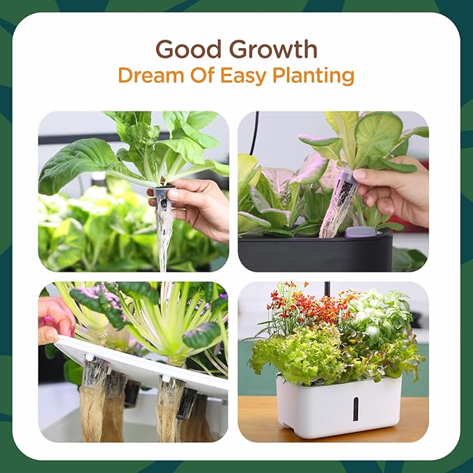 70 Pack Grow Sponges, Starter Plug for Seeds or Cuttings, General Hydroponics Rapid Rooter Plugs for Seedling Herbs Lettuce Vegetable Flower, Great for Soil or Hydroponics Growing System (Cylinder)
