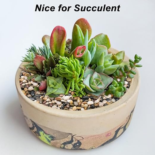 Fish Tank Rocks,Virekm River Rocks, Decorative Ornamental Pebbles Garden Landscaping Stones Gravel Filler for Home Decoration Flower Bed Fish Tank Plants Vases Succulents (10 Pounds)