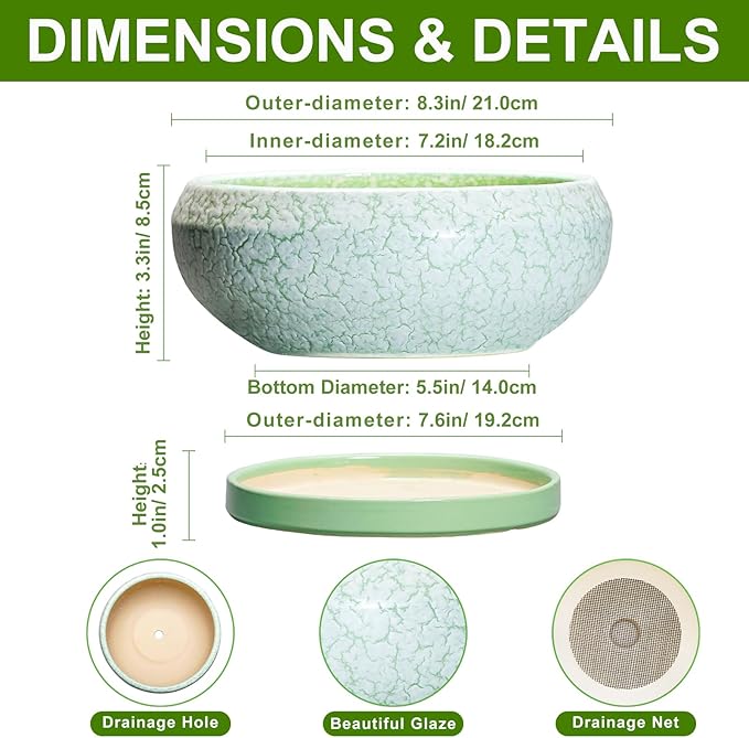 EPFamily Bonsai Pots Ceramic - 8 Inch Succulent Pots Indoor Outdoor, Shallow Planters with Drainage Hole and Tray, Ceramic Planter Bowl, Round Planter, Apartment Decor, Gifts for Plant Lovers, Green