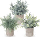 Fake Plants,3 Pack Small Artificial Plants Indoor Mini Potted Faux Plants For Home Decor,Eucalyptus Greenery Plastic Green Grass Fake Plants for Shelves Desk Bathroom Bedroom Farmhouse Shelf Decor