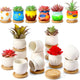 Remerry 2.5 Inch Mini White Succulent Planter Pots with Bamboo Tray Paint Your Own Ceramic Planters DIY Small Succulent Flower Plants Pot Containers Valentine Gifts for Plant Lover(Matte Style,18 Pcs)