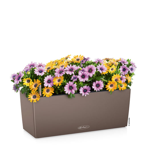 Lechuza BALCONERA Color 50 Nutmeg, Self-Watering Window Box (Railing Planter), H7.5 L19.7 W7.5 in