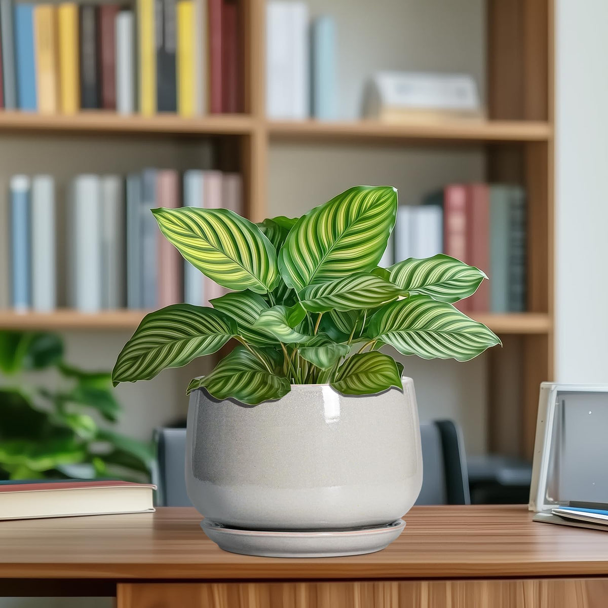 G EPGardening Ceramic Plant Pots, 7 Inch Plant Pot, Light Grey