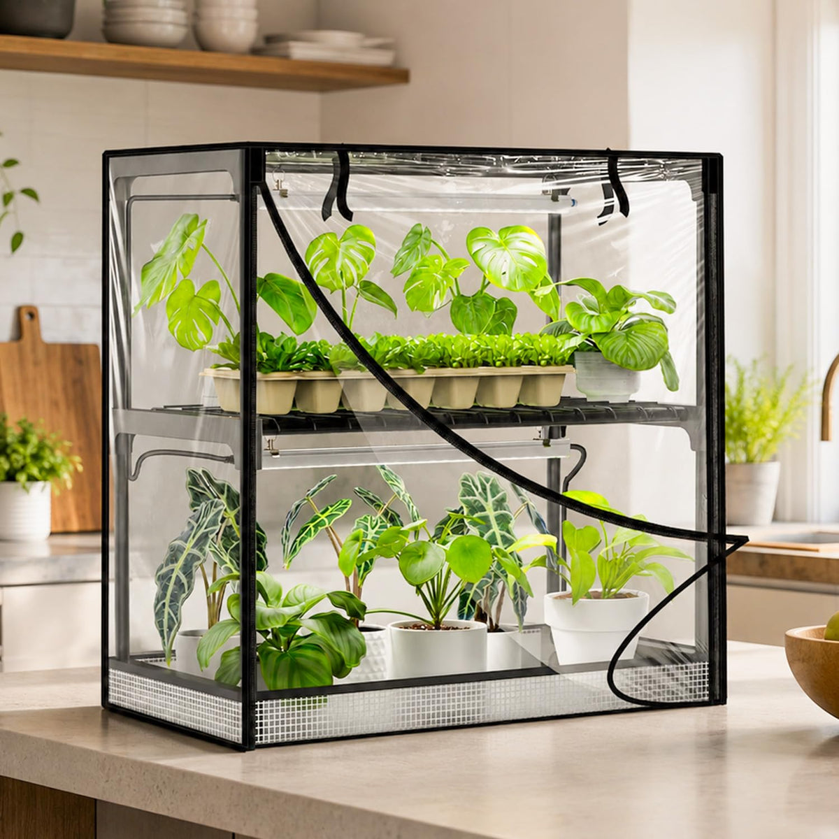 Inzlume 2-Tier Desktop Indoor Greenhouse with Grow Light, 11.8x23.6x23.6