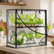 Inzlume 2-Tier Desktop Indoor Greenhouse with Grow Light, 11.8x23.6x23.6