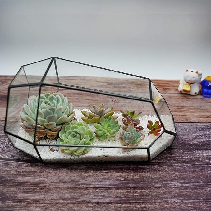 Geometric Glass Terrarium for Indoor Plants,Irregular Clear Planter,Black Opened Container Pot for Cacti,Succulents and Moss,Home Garden Office Tabletop Decor,6.5x5.7x9.8'' No Door