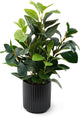 EZBOHO 16 inch Artificial Plants Indoor Realistic Touching Evergreen Leaf Fake Plant with Creamic Black Pot for Home Office Living Room Bathroom Office Table Bookshelf Decor