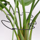 5PCS Black Monstera Plant Stem Support 9x7.6in - Adjustable & Durable Indoor Plant Stake for Cactus and Climbing Plants - Ideal Leaf Support for Gardening & Home Decor
