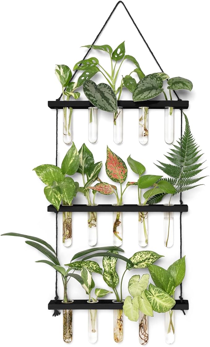 Mkono 3 Tiered Wall Hanging Plant Terrarium with Wooden Stand Mini Test Tube Flower Vase Glass Planter for Hydroponic Plant Cutting Home Garden Office Decor Gift