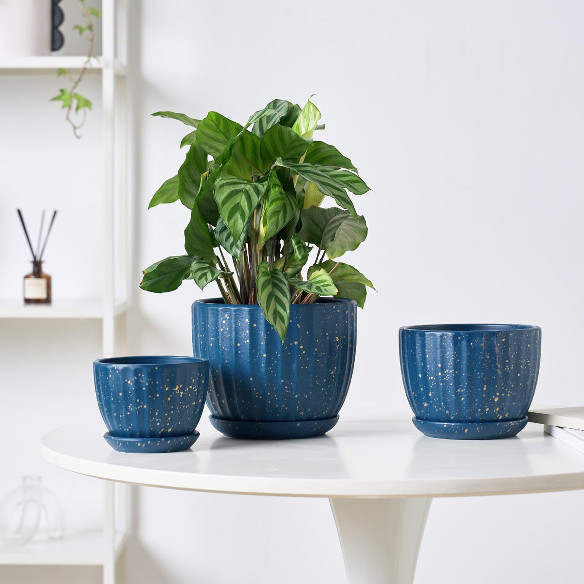 4/5/6 Inches Ceramic Plant Pots with Drainage Holes and Saucer Set of 3