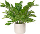 Briful Faux Plants Indoor 17" Artificial ZZ Plants in Ceramic Pot Fake Potted Zamioculcas Silk Plants for Home Table Decor Bedroom Aesthetic (1Pack)