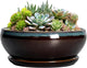 SQOWL Succulent Planters 8 Inch - Ceramic Bonsai Pots with Drainage Hole and Ceramic Saucer, Round Shallow Planter for Indoor Plant, Bowl Planter Outdoor, Desk Decor, Gift for Plant Lover, Blue-Brown