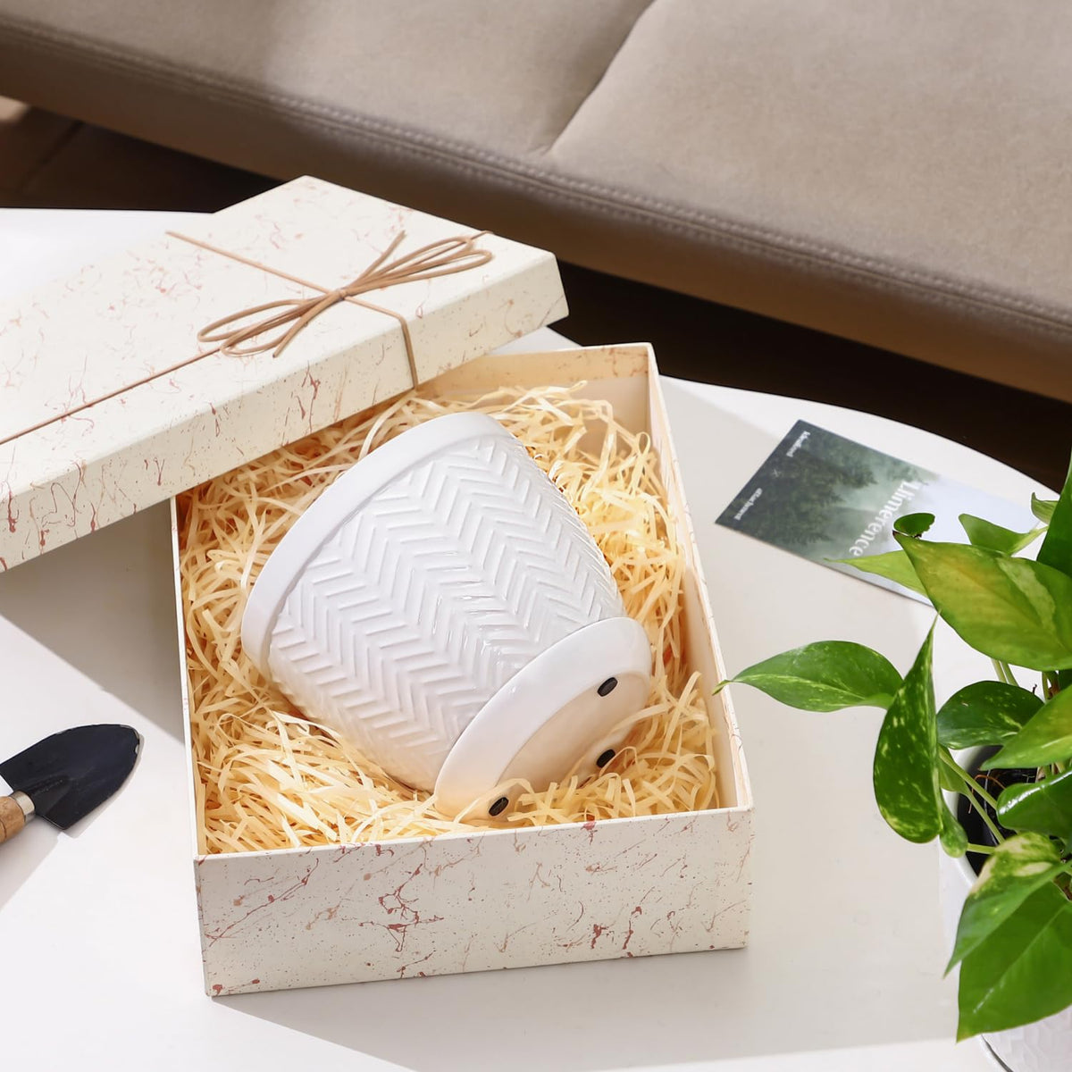Sureasy HOME & KITCHEN 6.5 Inch Ceramic Plant Pots Set of 2, White Embossed