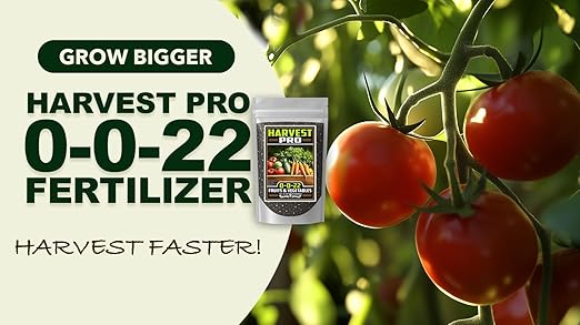 Fertilizer Commerical Grade | Harvest Pro 0-0-22 | 1 Pound | Custom Professional Mix Blend | Potassium & Magnesium for Fruit, Citrus & Vegetable Plants | Support Bud Development, Flowering & Fruit
