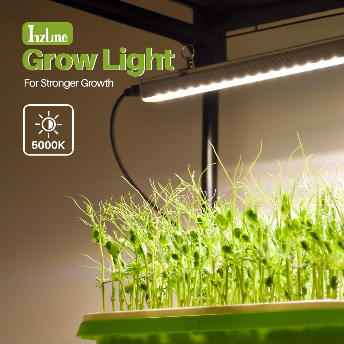 Inzlume 2-Tier Desktop Indoor Greenhouse with Grow Light, 11.8x23.6x23.6