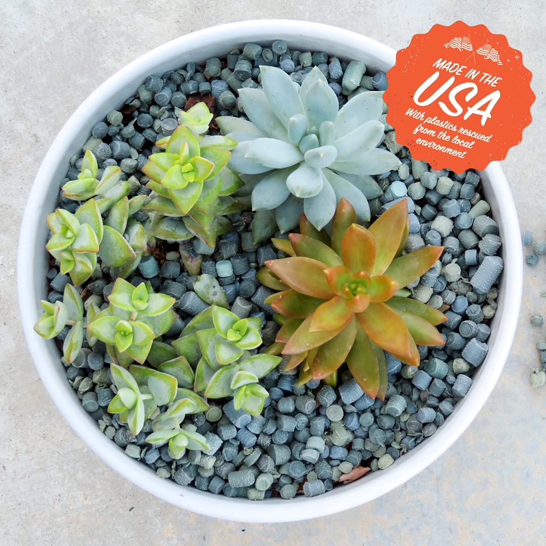 Arqlite Smart Gravel Eco Friendly Plant Drainage for Healthy Roots, Cactus, Succulents, Small Pots (1 Gal, Mini Size Bag)