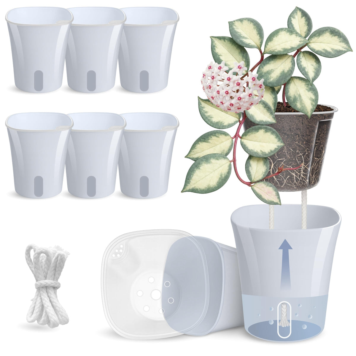 Vandorelle 8 Pack 4" Self Watering Pots for Indoor Plants, Clear Inner Cup, Small Blue Grey Plastic Planters, Water Level Indicator, Drainage Holes,Extra 3ft Wick, Cutting,Seedling,Herb,African Violet