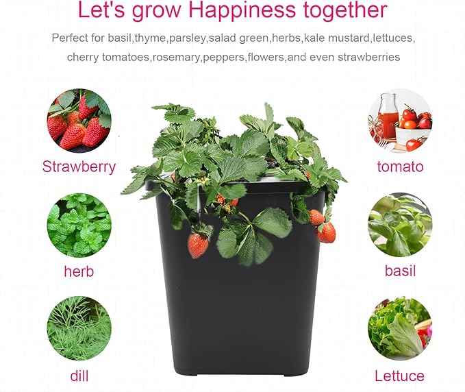 4 Hydroponic Buckets Kit for Plants, Hydroponics Growing System for Herbs/Tomato/Vegetables, DWC System with Air Pump & Germination Tray Black (Complete Indoor Hydroponic Gardening Supplies)