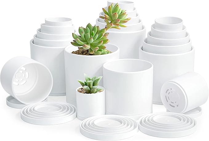 D'vine Dev Pack of 20 Plastic Plant Pots (4 Set of 2 Inch, 2.5 Inch, 3 Inch, 3.5 Inch, 4 Inch) Small Garden Planter Pots for Plant with Drainage Holes and Saucers, White, 74-U-A