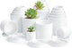 D'vine Dev Pack of 20 Plastic Plant Pots (4 Set of 2 Inch, 2.5 Inch, 3 Inch, 3.5 Inch, 4 Inch) Small Garden Planter Pots for Plant with Drainage Holes and Saucers, White, 74-U-A
